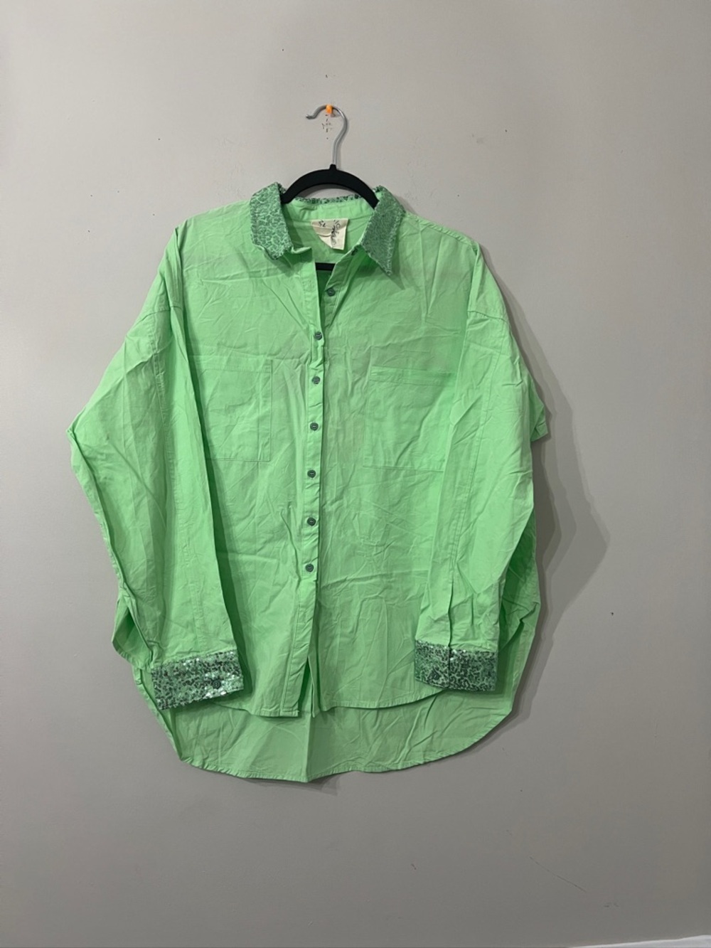 Anthropology Fantastic Fawn Light Green Button-Up Blouse